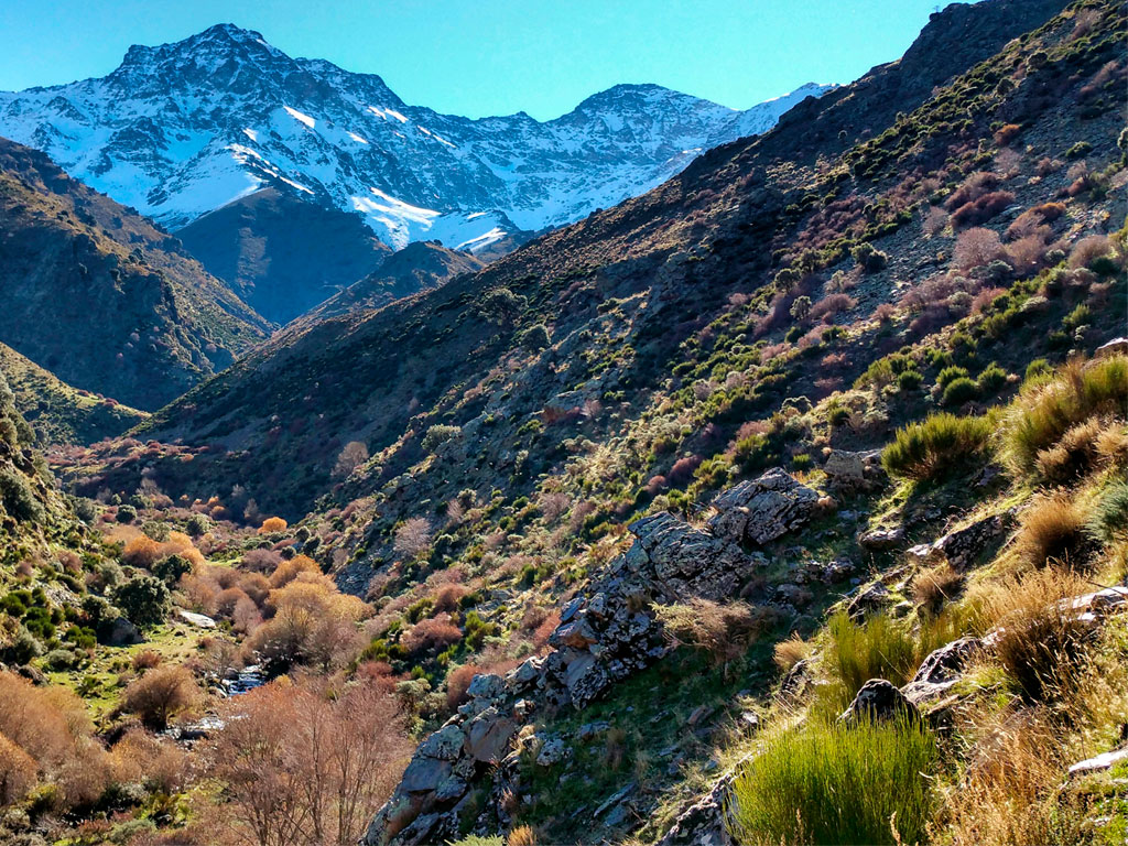 Vereda de la Estrella