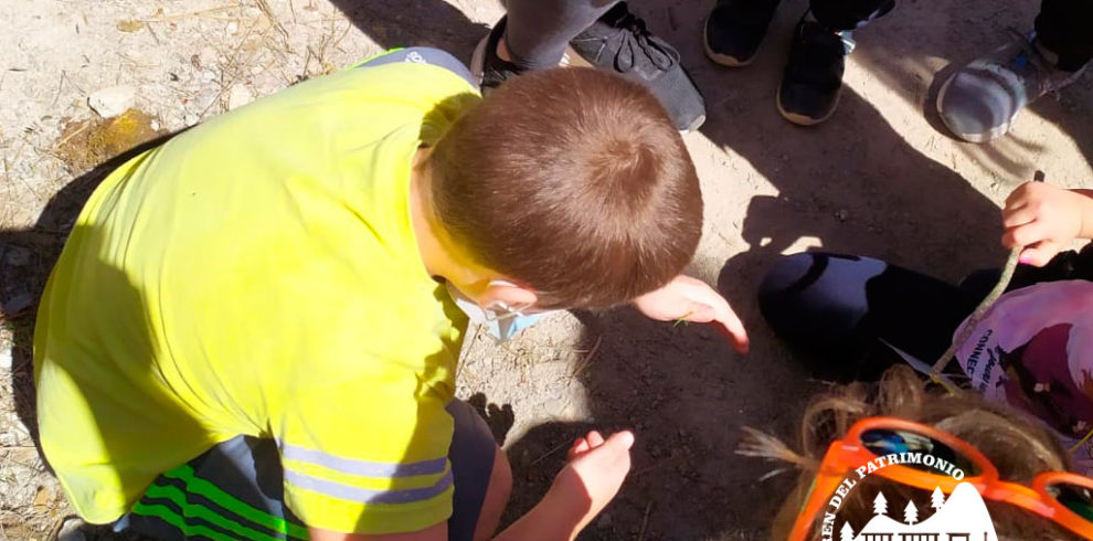 Tren del patrimonio Taller de rastros y huellas 04